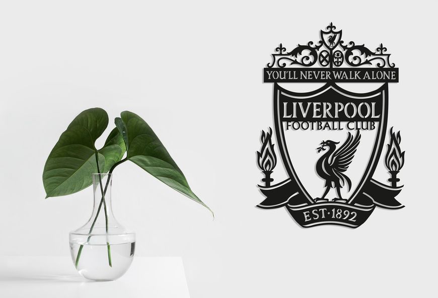 FC Liverpool 40х55 см 30006 фото