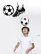Панно из дерева Football 28001 фото 1